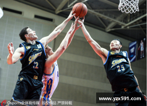皇冠体育官方网站掘金大胜鹈鹕，锁定季后赛名额 - 副本